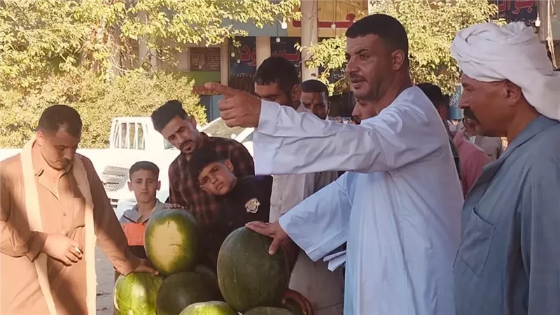 جانب من مزاد البطيخ