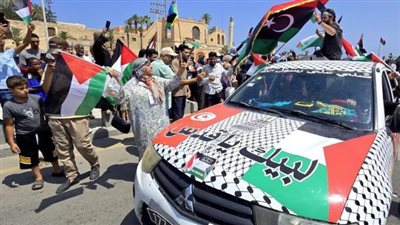 تضم قيادات إخوانية وتكفيريين ويسار، باحث يكشف الجهات الداعمة لـ قافلة الصمود