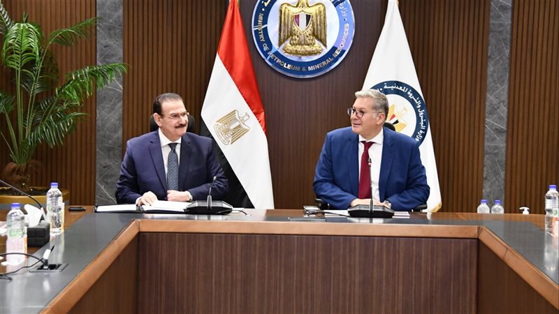 المهندس كريم بدوي