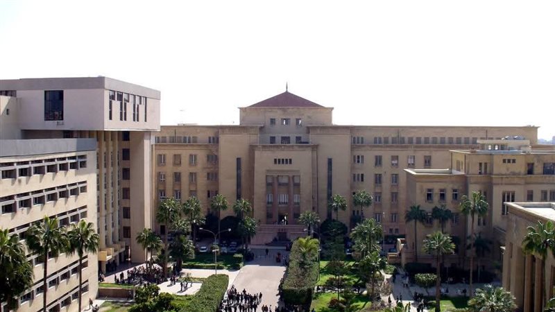 جامعة الإسكندرية،