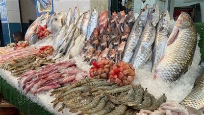  سعر السمك اليوم، ارتفاع البلطي والبوري والماكريل في سوق العبور