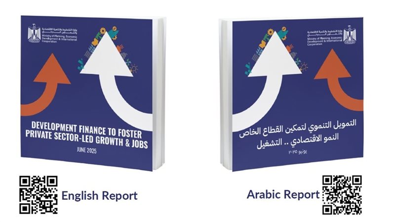 تقرير التمويل التنموي