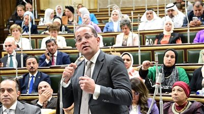 وزير المالية أمام النواب: حجم الدين مناسب للاقتصاد وسينخفض مستقبلا 