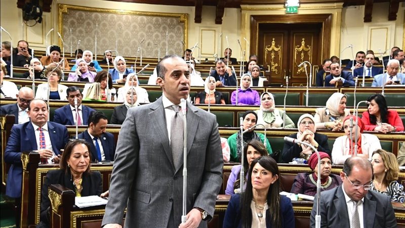 وزير الشئون النيابية