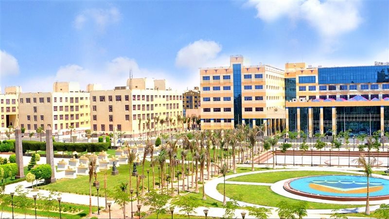 جامعة 6 أكتوبر، فيتو