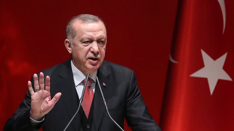 اردوغان، فيتو