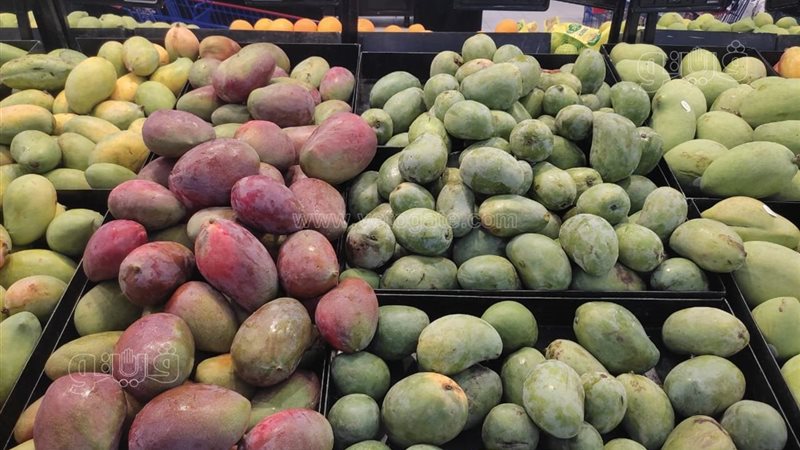 سعر المانجو اليوم