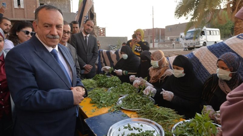 محافظ أسيوط يتفقد