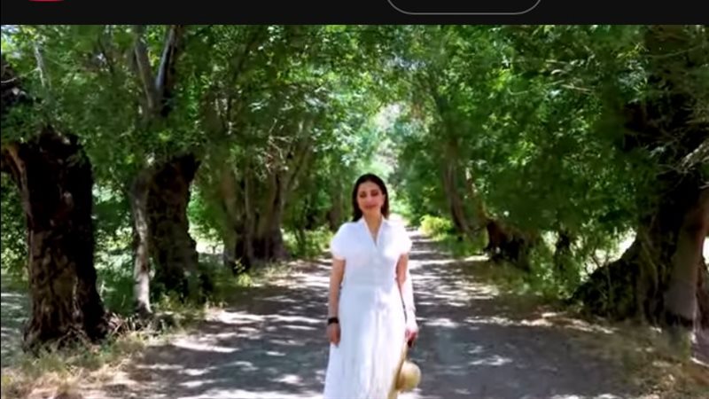 ماجدة الرومي، فيتو