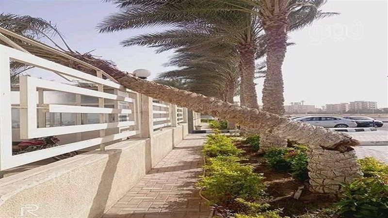 سقوط عمود إنارة وشجرة