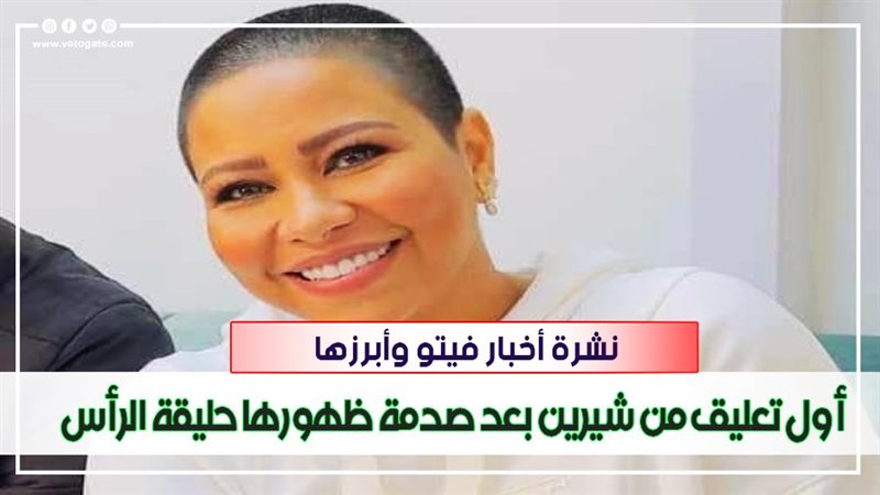 نشرة أخبار فيتو