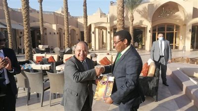 وزير المالية: مستعدون لنقل خبراتنا في منظومة الضرائب لتنزانيا 