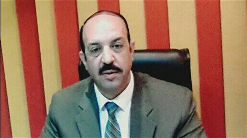  أيمن فودة، خبير