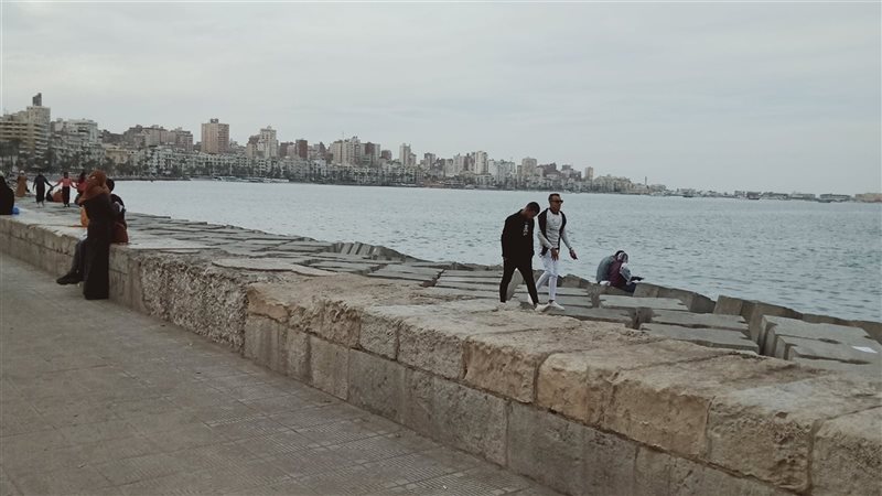 الاسكندريه