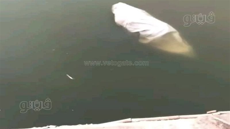 جثةعزبة الباشاالمجهولة