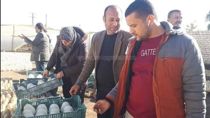 ضبط 37 طن جبنة غير