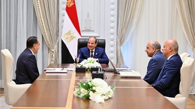 السيسي يتابع جهود التصدي لحالات سرقة الكهرباء وخفض الفقد وتحسين الخدمات
