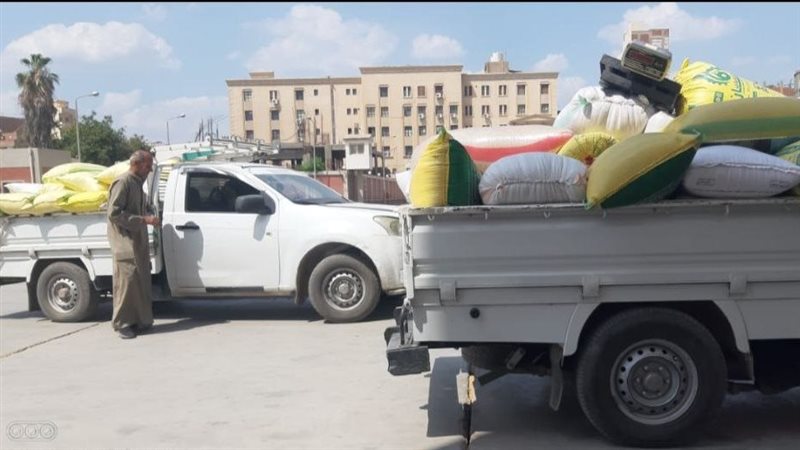  توريد القمح