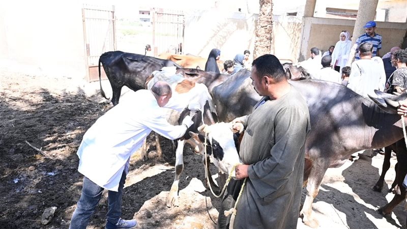 قافلة بيطرية، فيتو