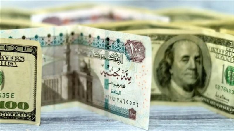 الدولار 