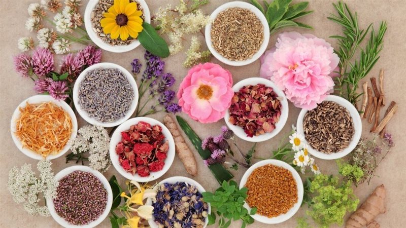 أعشاب طبيعية لعلاج