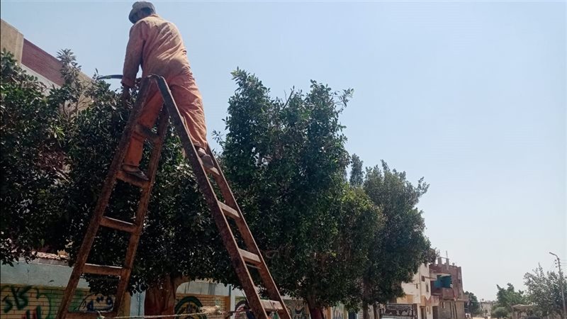 استمرار أعمال تطوير