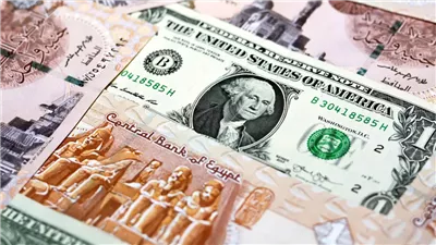 سعر صرف الدولار أمام الجنيه، هل تواصل العملة الخضراء الاستقرار في البنوك المصرية؟