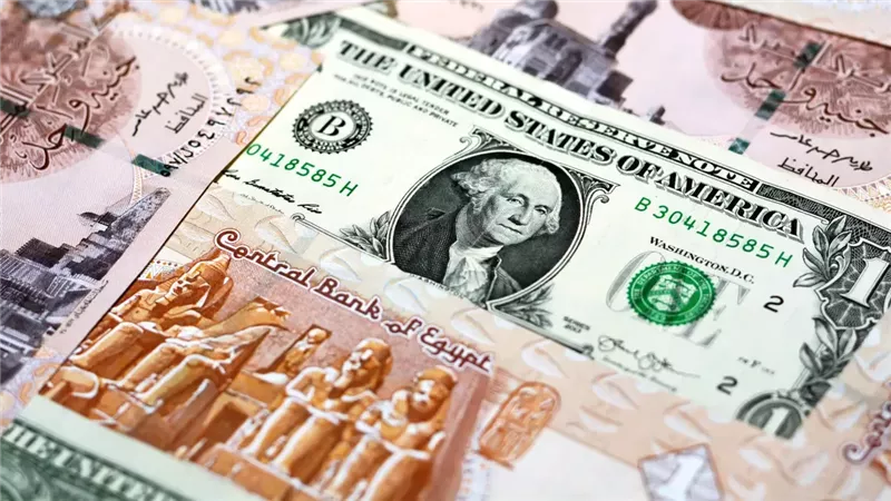 سعر الدولار اليوم