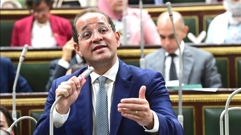 وزير المالية أمام