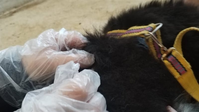 جانب من العمل داخل