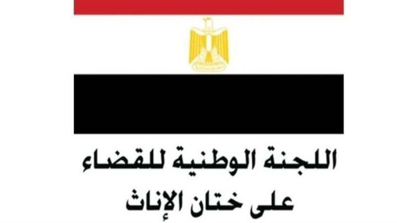 اللجنة الوطنية للقضاء