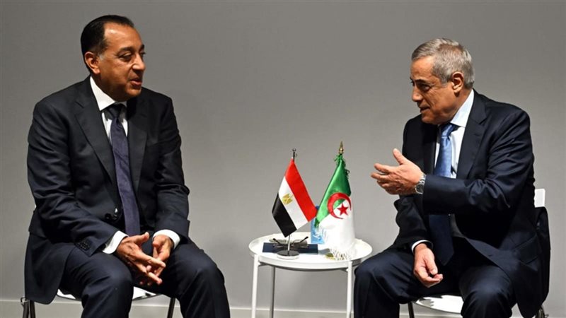 رئيس الوزراء يلتقى