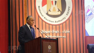  تجديد قيد واعتماد 306 جهات لمتابعة وتغطية انتخابات الشيوخ