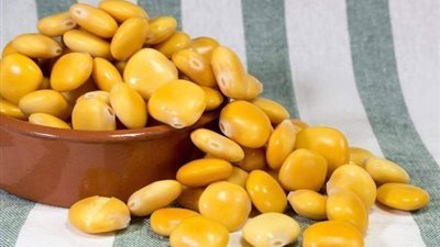 فوائد الترمس، يقوى الأسنان ويحمى من هشاشة العظام 