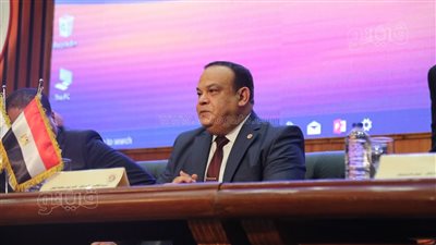  الهيئة الوطنية للانتخابات تقرر ندب رؤساء اللجان الفرعية في انتخابات مجلس الشيوخ 2025 
