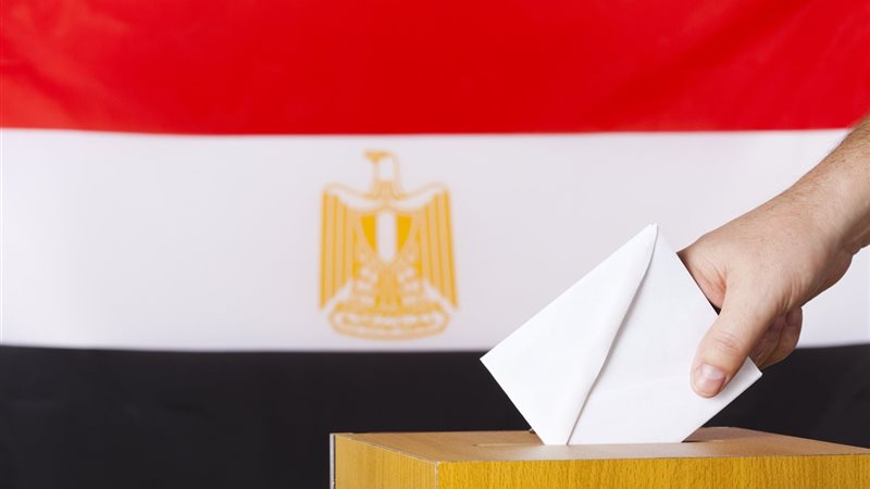 انتخابات، فيتو