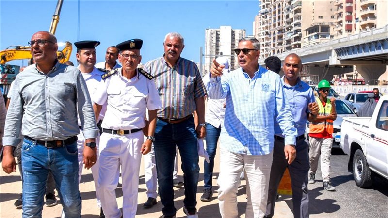 الاسكندريه، فيتو