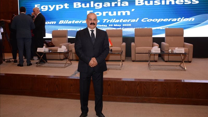 المهندس مصطفى المكاوى