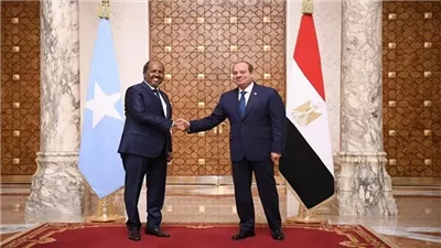  تطورات كبيرة فى العلاقات الاقتصادية بين مصر والصومال.. 127.7 مليون دولار حجم التبادل التجارى خلال 2024.. صادرات منتجات مطاحن بقيمة 60 مليون دولار