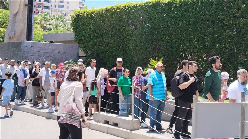 الاسكندريه 