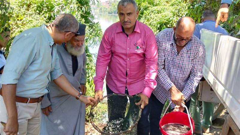 إلقاء زريعة السمك