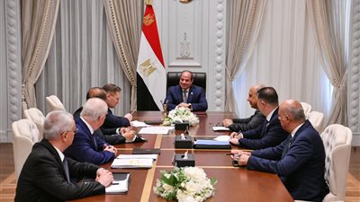  السيسي يلتقي المدير العام لهيئة الدولة للطاقة النووية 