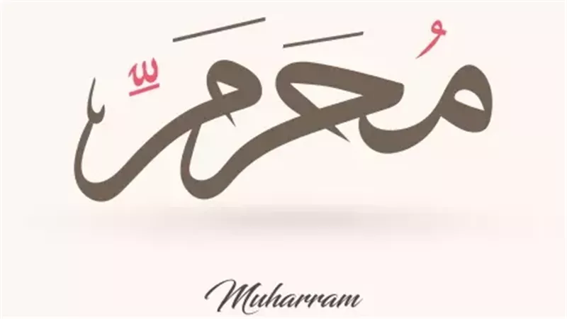  أفضل 5 أعمال في