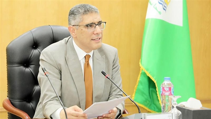  عادل النجار محافظ