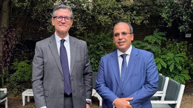 رئيس الجامعة البريطانية