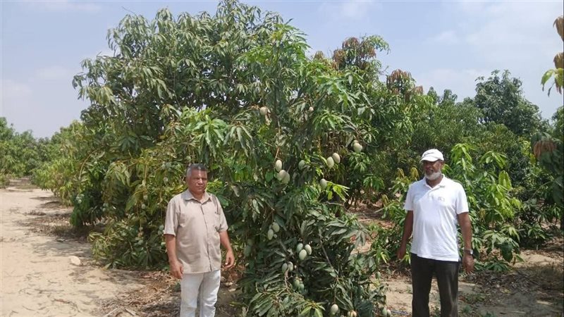 جانب من الجولات الميدانية،فيتو