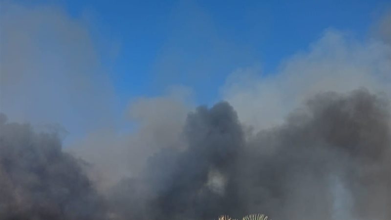 حريق حضانات الإسكندرية،