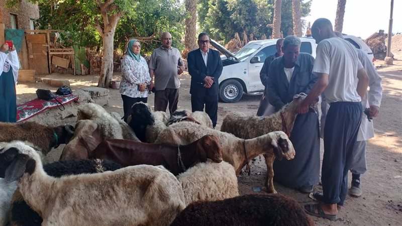 حملات تحصين في الدقهلية،
