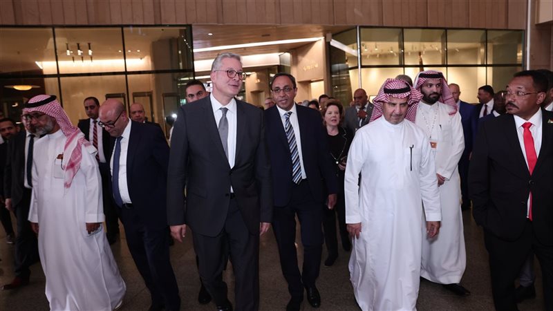 المتحف المصري الكبير،فيتو