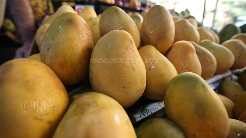 سعر المانجو اليوم